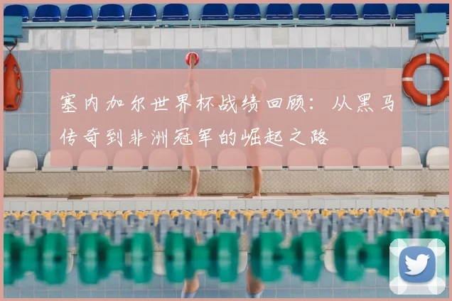 塞内加尔世界杯战绩回顾：从黑马传奇到非洲冠军的崛起之路