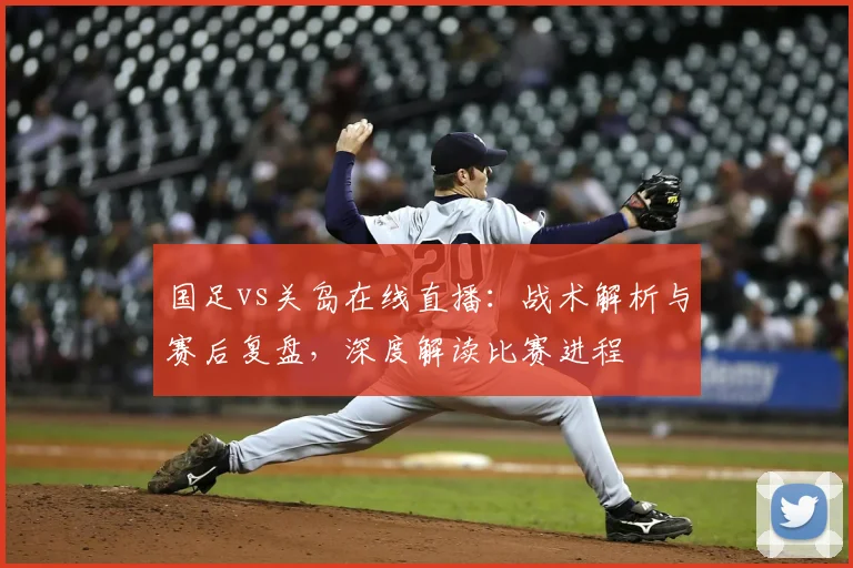 国足vs关岛在线直播：战术解析与赛后复盘，深度解读比赛进程