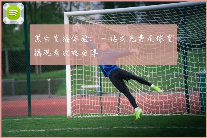 黑白直播体验：一站式免费足球直播观看攻略分享
