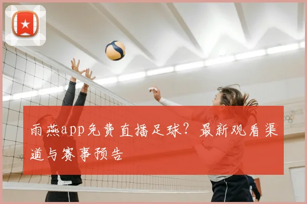 雨燕app免费直播足球？最新观看渠道与赛事预告