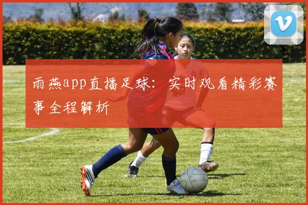 雨燕app直播足球：实时观看精彩赛事全程解析