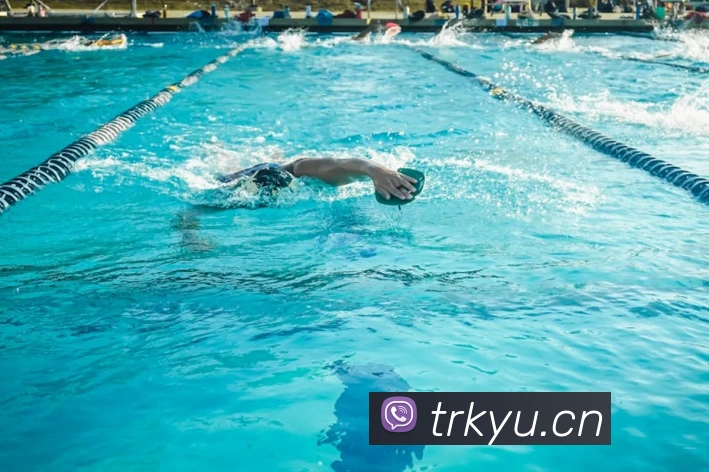 App Interface Preview